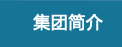 集团简介